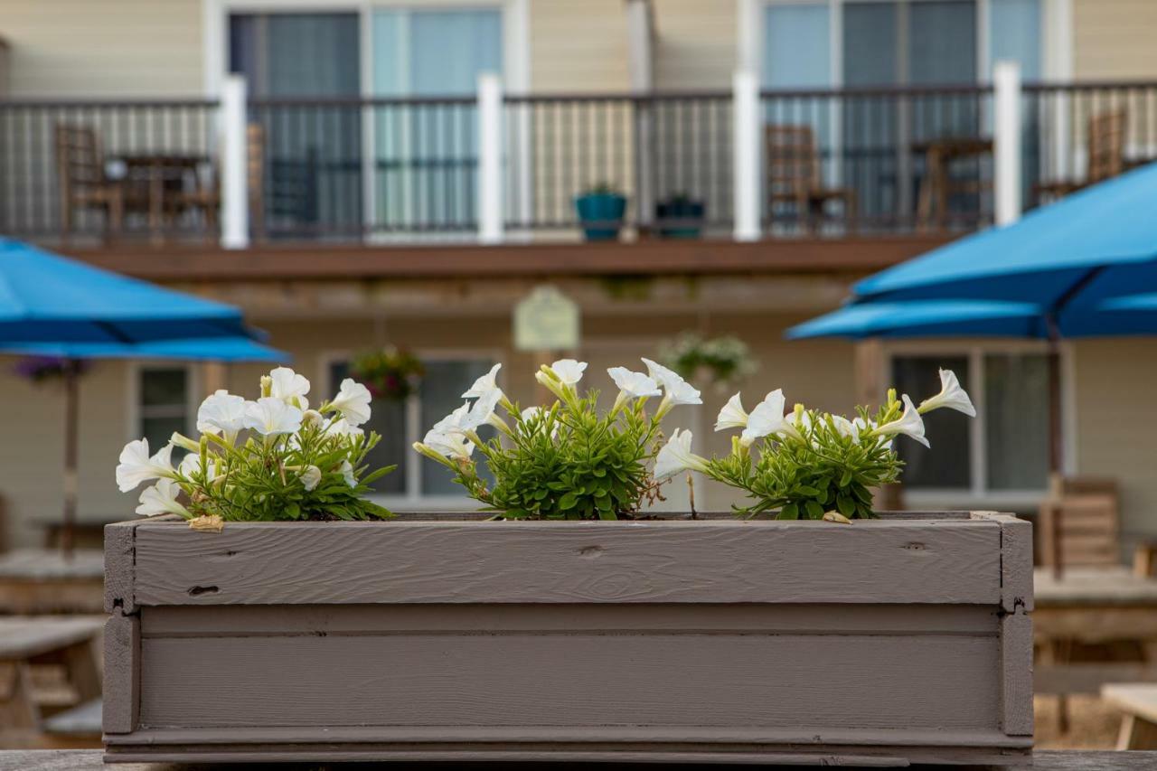 Aqualina Inn Montauk (Adults Only) المظهر الخارجي الصورة
